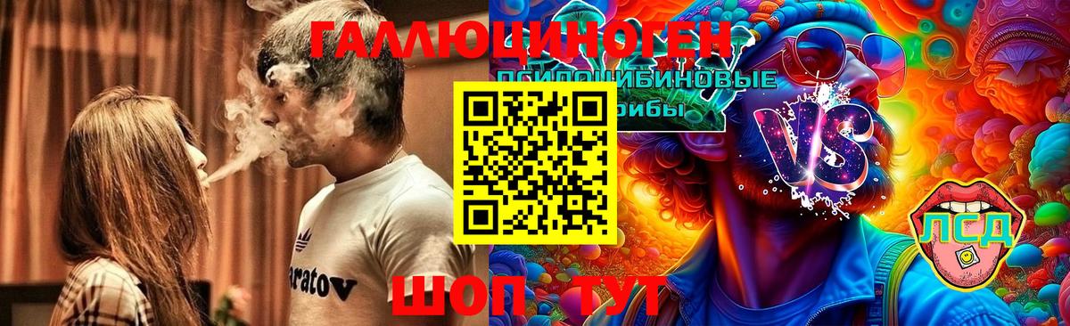 Галлюциногенные грибы GOLDEN TEACHER  Галлюциногенные грибы Psilocybine cubensis  Вход с VPN  Чистополь 